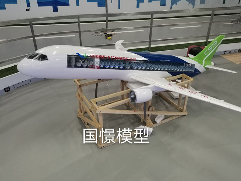略阳县飞机模型