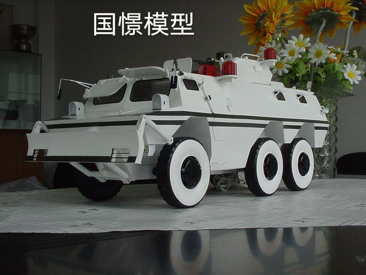 略阳县军事模型