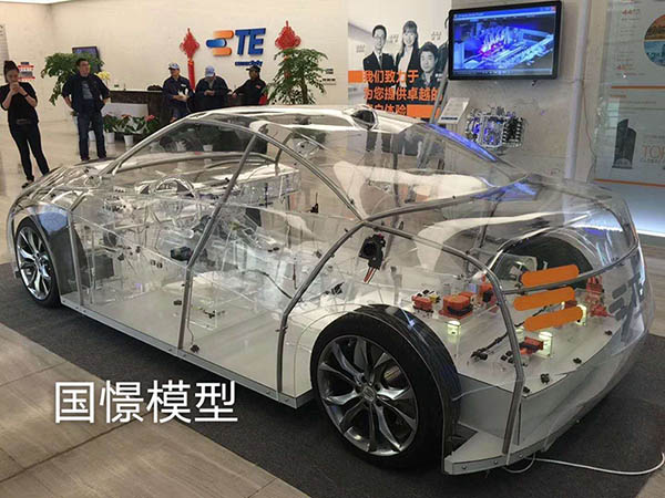 略阳县透明车模型